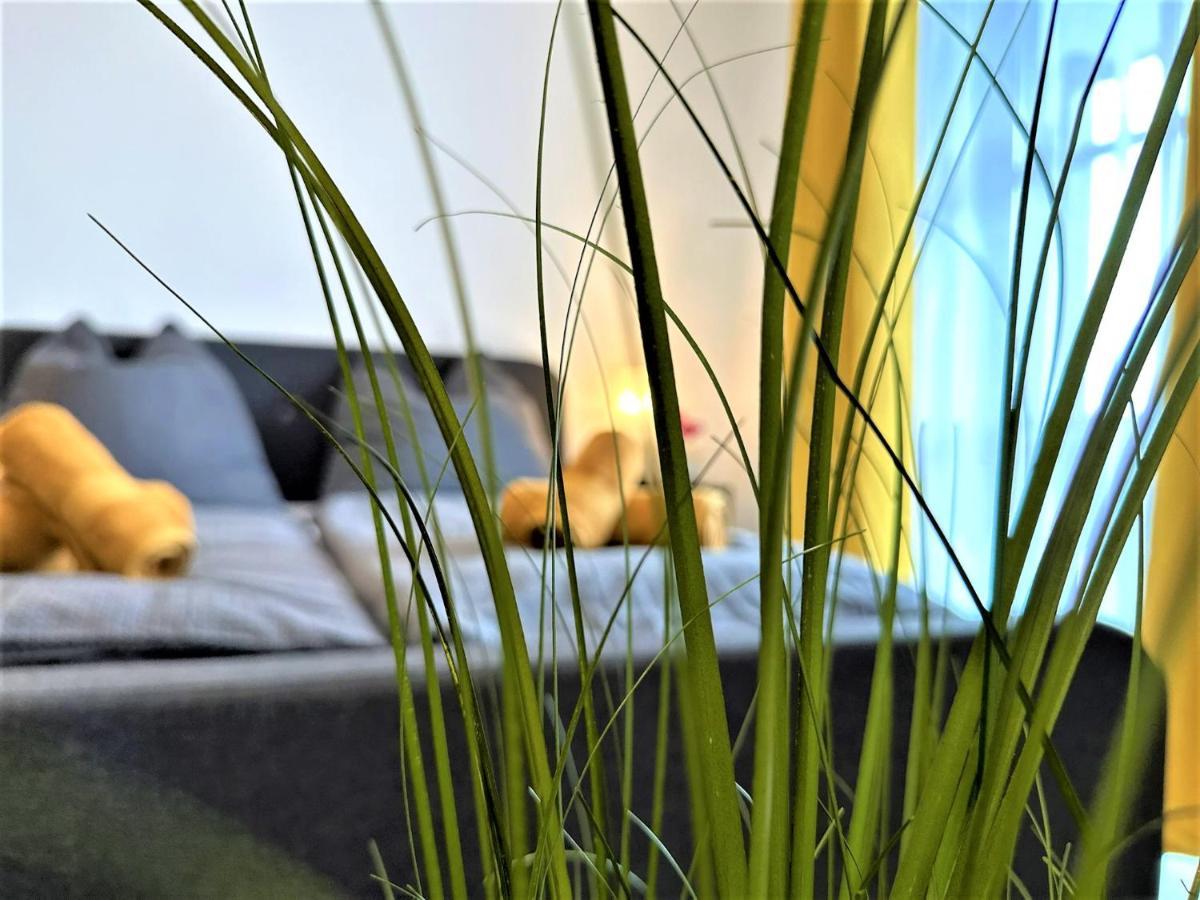 Gemuetliches Studio Im Bayerwald +Pool +Sauna +Wifi Zwiesel Exterior photo